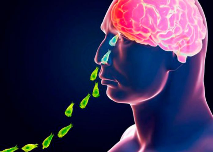 portada_oYGSwMg parasito