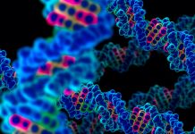 Los científicos creen que el estrés y el cáncer tienen relación cancer