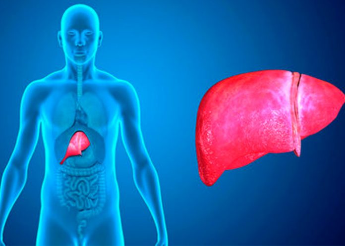 portada_qnGN1pW pask