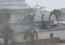 El inminente aterrizaje del Huracán Michael en la Florida (Video) huracan michael