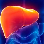 12 países en el mundo se encaminan a eliminar Hepatitis C hepatitis c