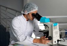 hantavirus andes