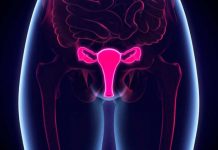 El útero tiene muchas más funciones que albergar un bebé utero