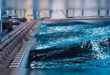 La hidrodinámica permite predecir el flujo de una multitud investigadores