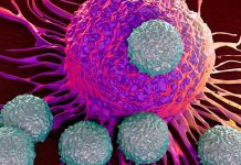 Descubren un fármaco que no cura el cáncer pero lo duerme para siempre