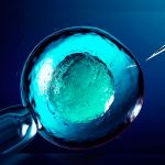 gametogenesis humana