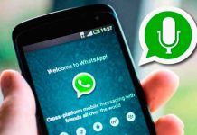 Las notas de voz en WhatsApp se van a reproducir automáticamente whatsapp