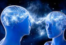 Logran conectar tres cerebros que funcionan de la misma manera y al mismo tiempo ondas cerebrales