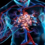 Cirugía bariátrica reduce el riesgo de padecer enfermedad coronaria obesidad severa