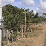 Presentan avances en el sector energético de Nicaragua nicaragua