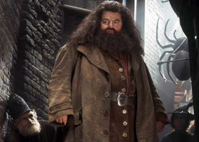 potter estados unidos