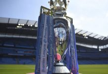 Crystal Palace pone fin a la racha victoriosa del City premier league