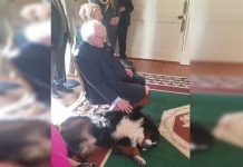 Por este tierno momento, perro del presidente de Irlanda se vuelve viral video