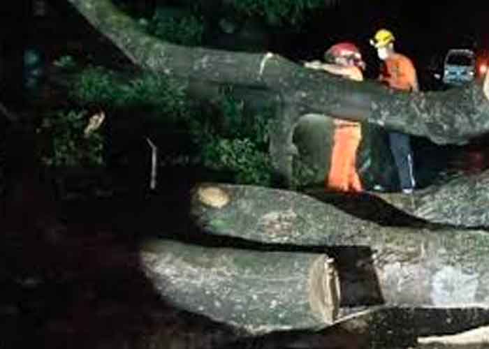 primera-muerte-el-salvador-iota el salvador