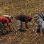 Taiwán apoya a Nicaragua en el fortalecimiento de la producción nicaragua