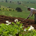 Presentan plan de trabajo para la producción de postrera nicaragua