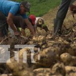 2021: año de la reactivación económica en Nicaragua nicaragua