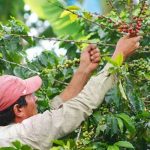 Nicaragua demuestra su fortaleza productiva y económica nicaragua