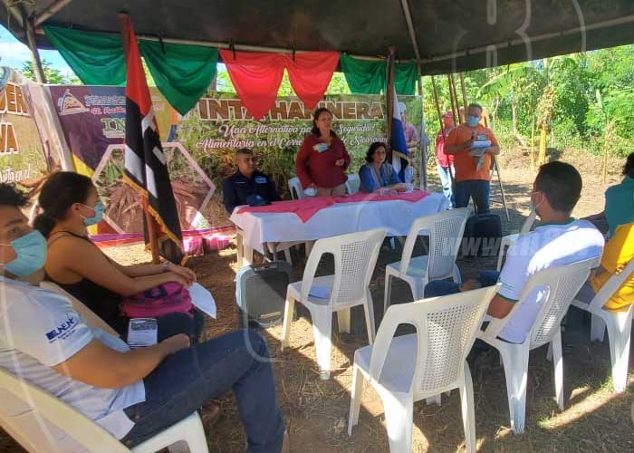 productor-yuca-02 nicaragua