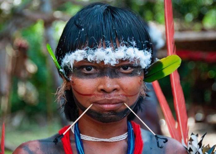 pueblos-brasil-indigenas brasil