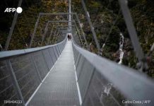 Portugal inaugura el puente peatonal más largo del mundo portugal, puente, ingenieria,