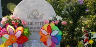 caso paulette