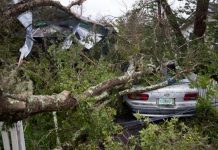 Estiman daños causados por huracán Michael en 8.000 millones de dólares estados unidos