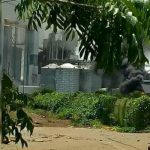 Grupos delincuenciales intentan quemar empresa Cargill en Masaya nicaragua