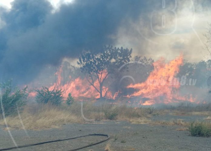 quema-monte-tipitapa-1 nicaragua