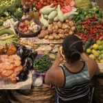 Queso, zanahoria y papa bajan de precio en mercados de Nicaragua nicaragua