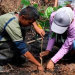 INAFOR entrega 510 incentivos forestales a productores nicaragua