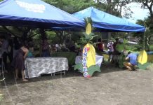 Boaco: Gobierno impulsa la Feria del Maíz nicaragua