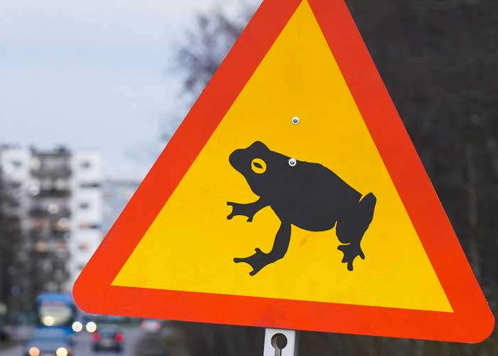 rana_He5ktht estonia