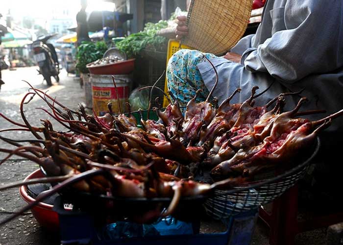 ratas-vietnam vietnam