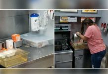 Un ratón se suicida en una comidería frente a decenas de clientes estados unidos