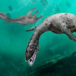 Descubren fósiles de uno de los mayores depredadores marinos en Chile chile