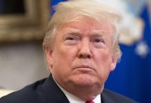 Trump insiste en denuncias de «robo» electoral en Florida en pleno recuento estados unidos