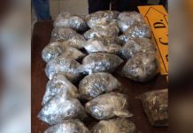 Costa Rica: Desmantelan importante red narcotraficante costa rica
