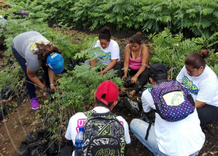 ref1_HLkpSNb nicaragua