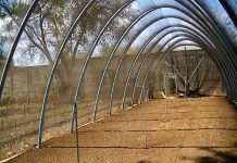 Realizan intercambio de experiencias en viveros forestales de Granada inafor