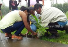 Jornada de reforestación en el dia de la preservación de los bosques nicaragua