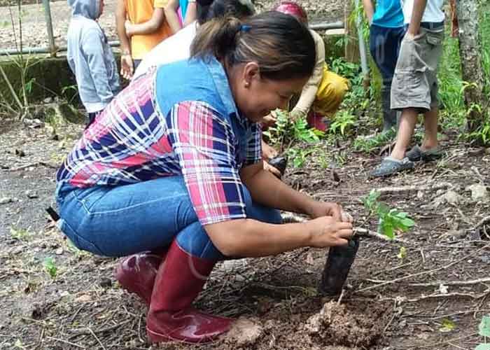 reforestacion-boaco-112 nicaragua