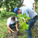 1 mil hectáreas se proyecta Matagalpa reforestar para el resto de 2020 nicaragua