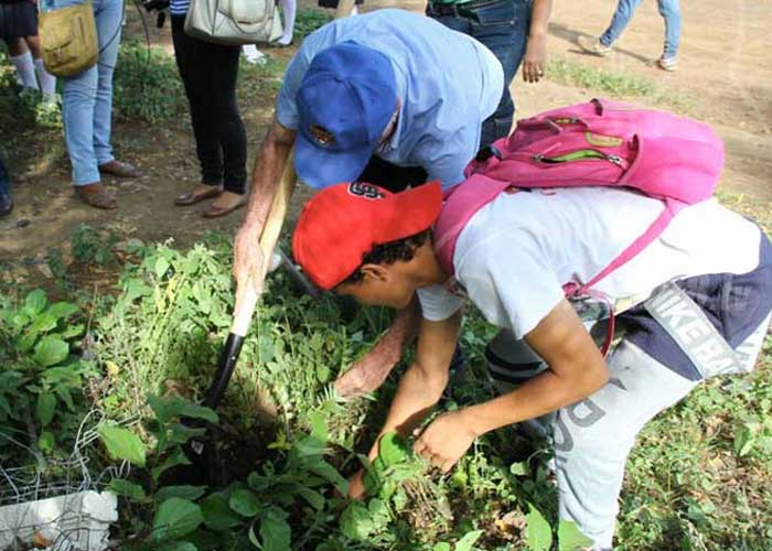 reforestacion-nti1 nicaragua
