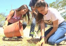 Reforestación en Ocotal para fomentar la vida saludable nicaragua