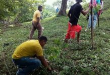 Juventud participa intensamente en reforestación de Rivas nicaragua