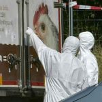 Hallan a 43 refugiados al borde de la asfixia en un camión en Austria austria