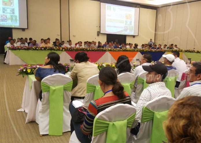 rel2_deCkLcA nicaragua