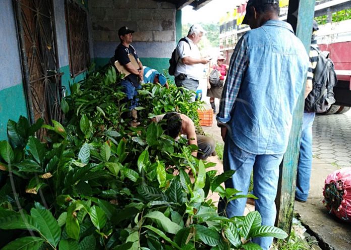 rep1_s2Qhebj nicaragua