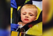 Rescatan vivo a niño en un bosque tras estar perdido tres días estados unidos